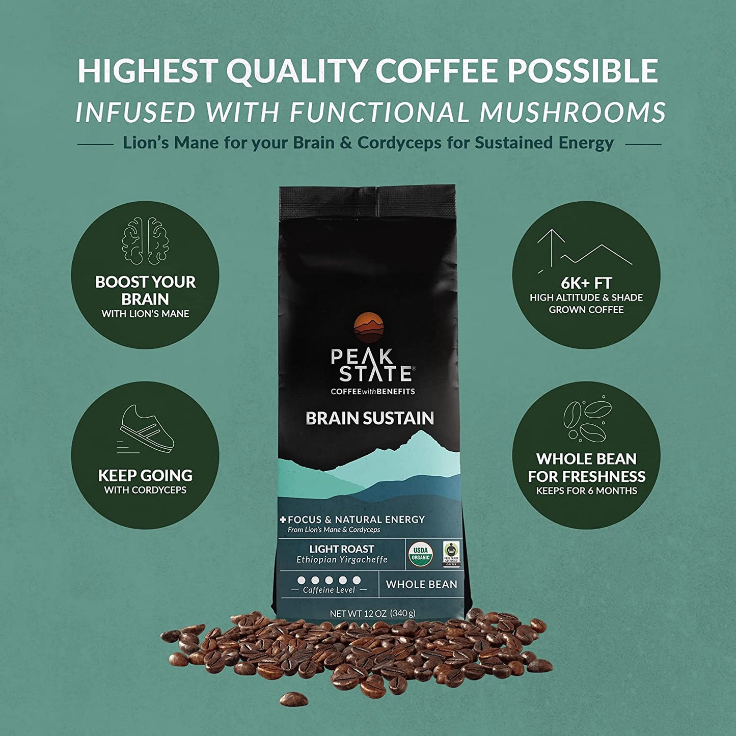 [FM] BRAIN SUSTAIN Light Roast - 5lb Whole Bean