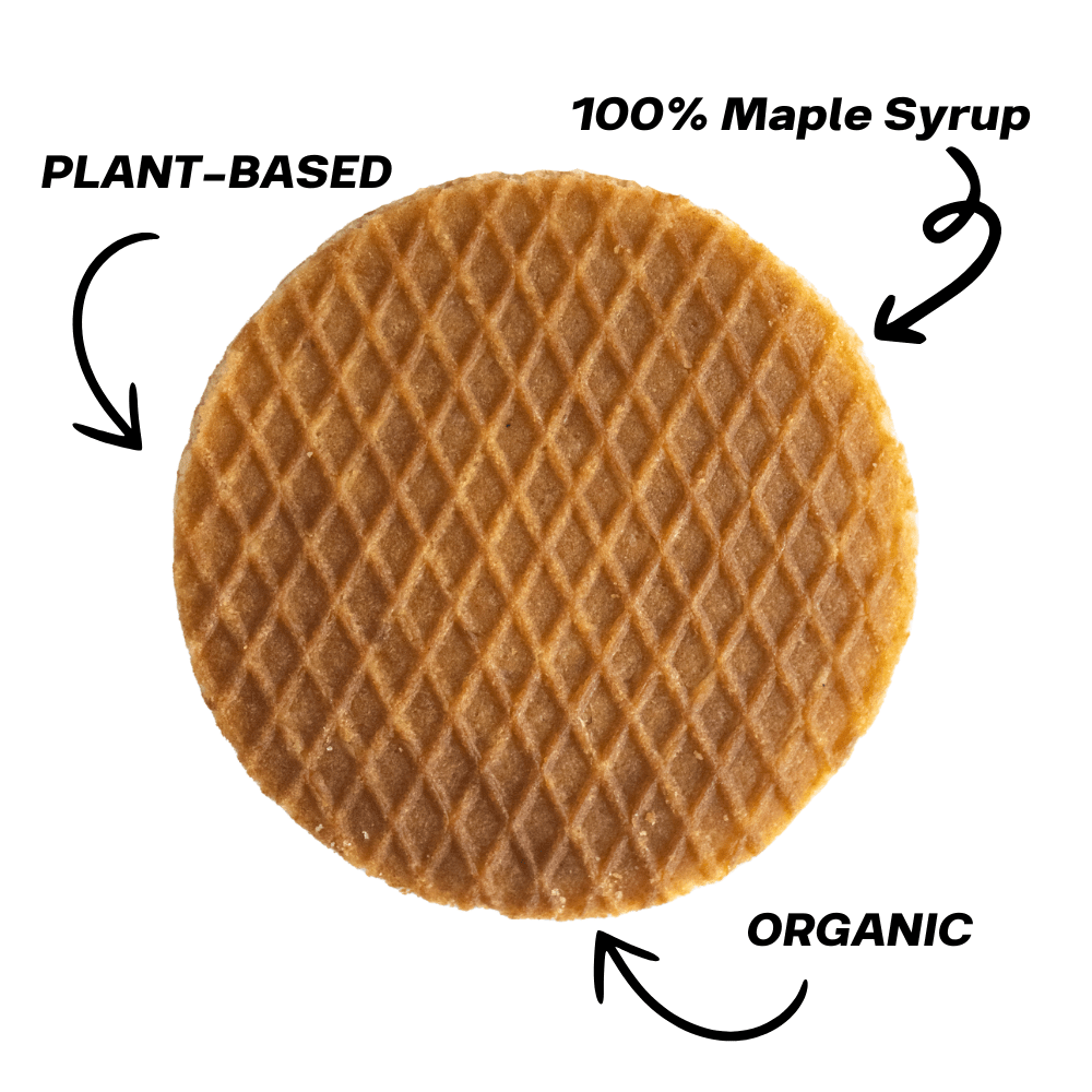 Maple Stroopvafels - Box of 12 - New Blue Packaging!!